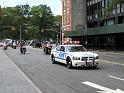 NY (431)